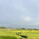 휴스파 - 영암군 대불주거5로 6 | 고창 석정온천휴스파 후기｜광주 근교 아이랑 가기 좋은 전라도 게르마늄 온천
