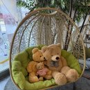 달콤한 슈가힐 이미지