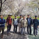 서리풀길 4 이미지