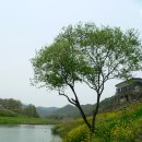 청솔가든 이미지