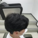 시스템엘르