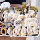 대천해수욕장 해동횟집 | [대천항 단체맛집] 신선함에 반하고 규모에 놀란 '대천횟집추천' 푸른바다회타운 솔직후기
