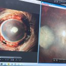 파리스동물병원 이미지