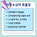 천운컴퍼니