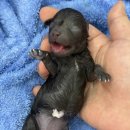 화이트 버블 이미지