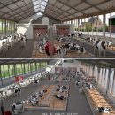 건강한 목장 이미지