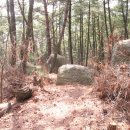 장재삼거리 이미지