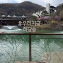 모노65 | [경기 광주] 화담숲 | 예약 방법, 취소표 꿀팁, 모노레일 코스 후기