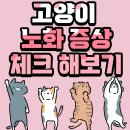 289. 고양이 노화 증상 체크! 이미지