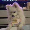 멍케이크 이미지