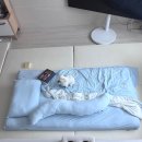 거실 토퍼 매트리스 추천 푹신한 누잠 더블업 토퍼 사용후기