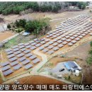 관정태양광발전소 이미지