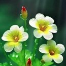 산책하는날 이미지