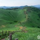 물길복원길2 이미지