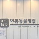 이룸동물병원 이미지