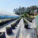 동환농장 이미지