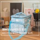 피크닉 필수템 감성까지 챙긴 보온보냉백 후기 올아이원트 쿨러백
