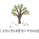 피부1004 이미지