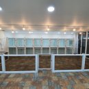 세상 편하개 이미지