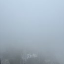 허리케인수산