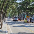 창해로 | 강릉 오션뷰 카페 추천, 커피베이 송정해변점 내돈내산 방문후기 &amp; 강릉 시티버스 탑승후기