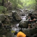 우리들의비밀기지 이미지