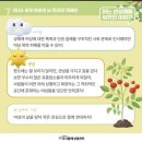 씨앗이야기 이미지