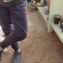 평안꽃식물원 이미지