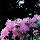 다온상담미술센터