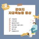 마곡M동물의료센터 이미지
