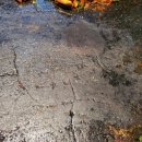 화통삼 노은점 이미지