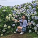 등대와올레길 이미지