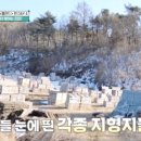포인트게임장 이미지
