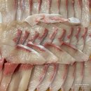 경애관 | [제주 식당] 연동 &#39;경애관&#39; 후기_제주특방어코스전문점_내돈내산