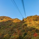 케이블카 이미지