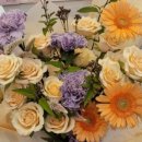 벨로데이 이미지