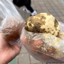 영진시장 | 성남 모란시장 5일장 춤추는 영진네칼국수 홍두깨 칼국수 맛집 후기