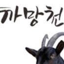 문경흑염소 이미지