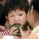 오늘의 포토뉴스(6/19) 이미지