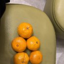 오르세비즈니스호텔 | [수원시청역호텔/인계동호텔] ‘오르세비지니스호텔’ 방문 후기