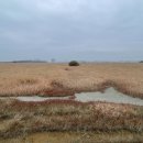 공룡알화석지방문자센터 | [경기 화성] 가을 산책 추천 장소 - 억새 은빛 물결이 가득한 공룡알 화석지