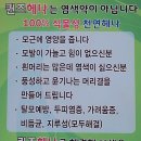 퀸즈헤나교실 네이버블로그