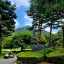 (주)지지투어 네이버블로그