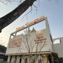 엔틱하우스 | [남양주 맛집] 역대급 규모 '하우스 용암' 솔직 후기 : 엔틱 쇼룸부터 프라이빗 텐트까지 완벽 가이드