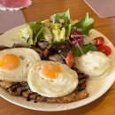 수노을동물병원 이미지