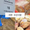서천특화시장 수산시장 혜빈수산 재방문 후기, 쭈꾸미 광어회 가격 만족