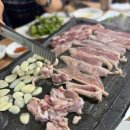 오리명가고향정