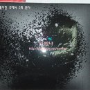 미샤헤어 Daum카페