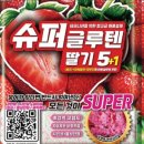 대산항민박 이미지