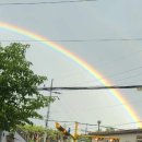 얘들아 🌈쌍무지개🌈 보고가 이미지